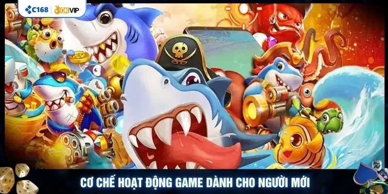 Cơ chế hoạt động game dành cho người mới