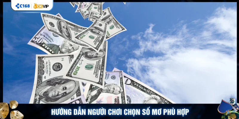Hướng dẫn người chơi chọn số mơ phù hợp